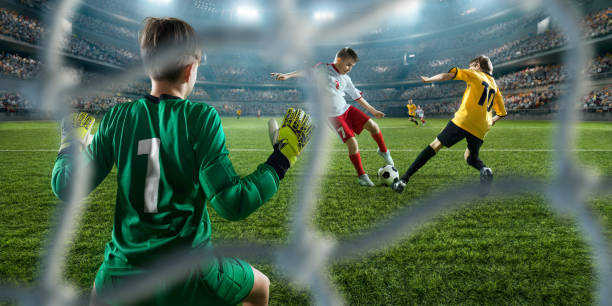 通过引进这 通过引进这